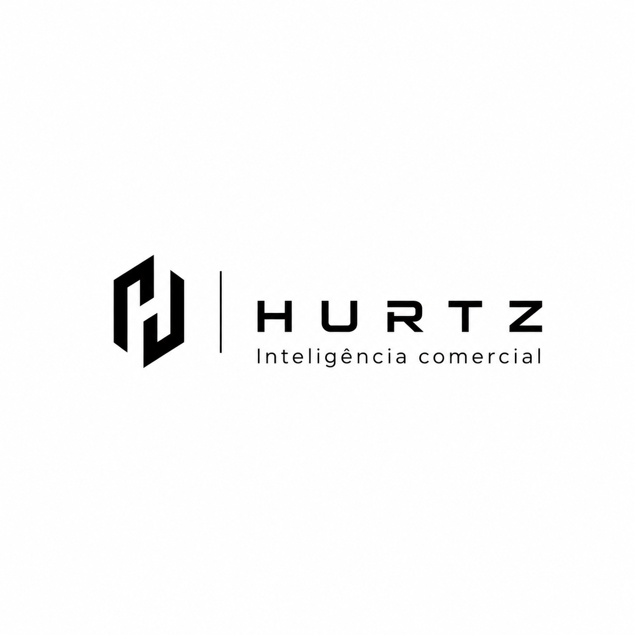 Hurtz — Inteligência comercial